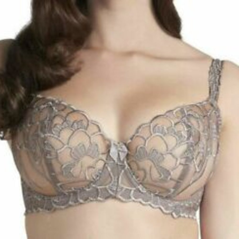 NWT FAUVE CHLOE UNDERWIRED VERTICALSEAM BRA - MINK